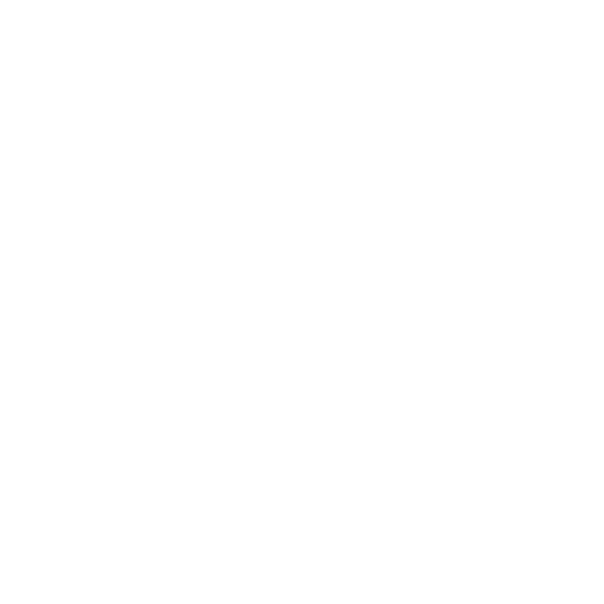 VANDERLABS logo